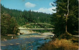 Bogachiel River Bridge Washington Postcard PC278