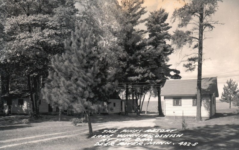 Vintage Postcard 1985 Real Photo Pine Resort Lake Winnibigoshish Deer