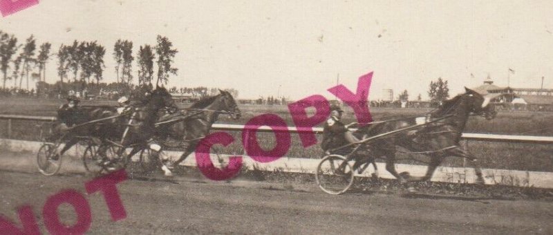 St. Paul MINNESOTA RPPC 1910 HARNESS RACE Horse Racing Trotter Trotting #2 