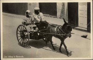 Bermuda Dopnkey Wagon Natives Joy Riding Real Photo Postcard