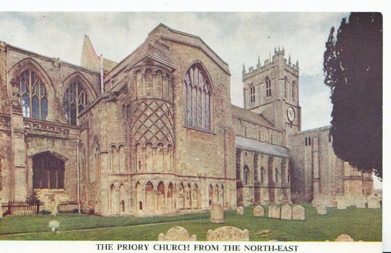 Dorset Postcard - The Priory Church from The North - East    XX748