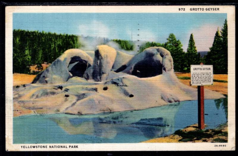 Grotto Geyser,Ywellowstone National Park BIN