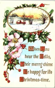 c1910 CHRISTMAS SNOW HOME FLOWERS BERRIES TWIN VALLEY MINNESOTA POSTCARD 41-183