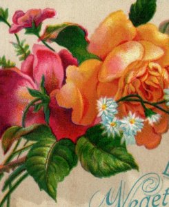 1880s Lydia E. Pinkham's Vegetable Compound Haywards CA Drug Store #2 P193