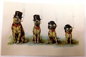 Adorable Anthropomorphic Bulldog Dogs w/ Top Hat, Smoking Cigar, & Glasses F46