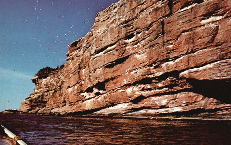 Vintage Postcard Interesting Rock Formations Bonaventure Islands Perce PQ Canada