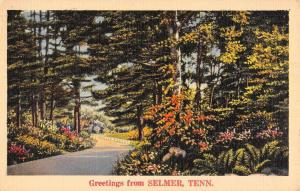 Selmer Tennessee Scenic Roadway Greeting Antique Postcard K88742