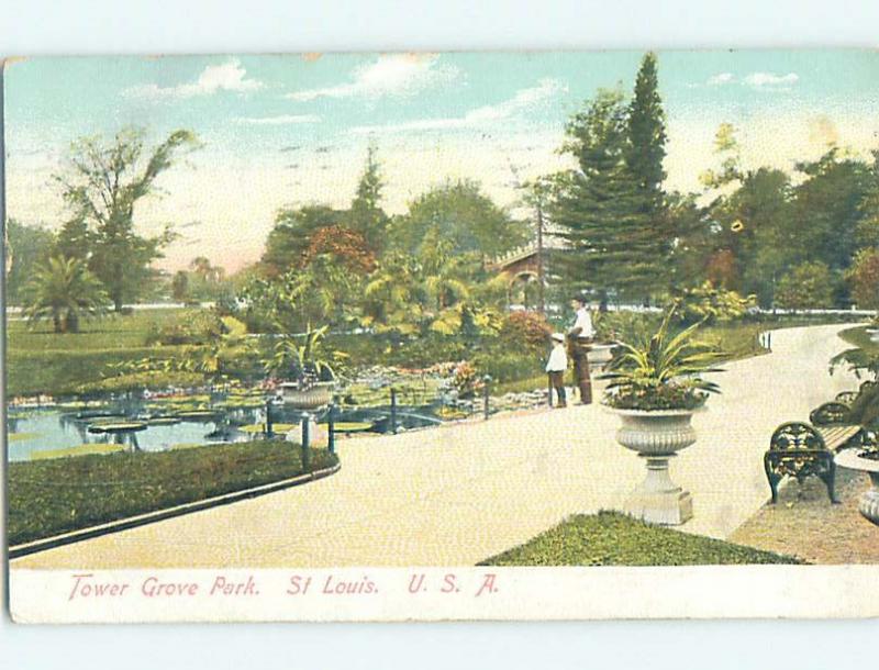 Divided-Back PARK SCENE St. Louis Missouri MO hk8351