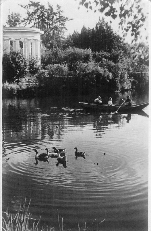 B107316 Russia Park Dvorta Lake Swan Birds real photo uk