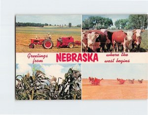 Postcard Greetings from Nebraska Where the West Begins Agriculture Scene USA