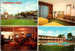 Flamingo Motel swimming pool, guest room dining Cornwall Ontario Canada Postcard