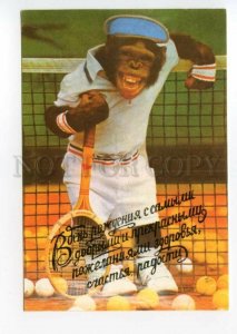 493819 USSR Monkey plays tennis Moldavian edition contact postcard