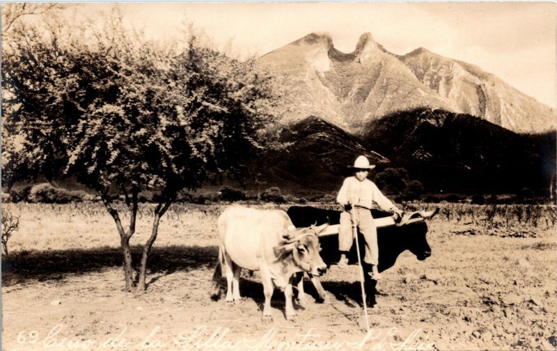 RPPC Postcard Mexico Monterrey Boy & Two Oxen and Cerro de la Silla 1940s S115