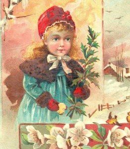 1893 Christmas Greetings Lion Coffee Woolson Spice Co. A Happy Family #5K