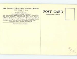 Pre-1980 ACADEMY OF SCIENCES KLIPSPRINGER EXHIBIT San Francisco CA d9688