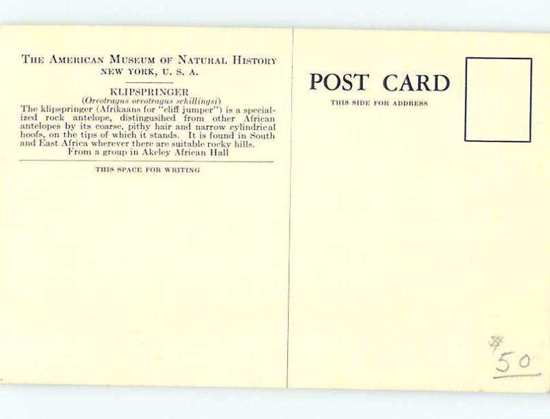 Pre-1980 ACADEMY OF SCIENCES KLIPSPRINGER EXHIBIT San Francisco CA d9688