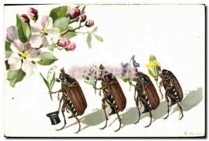 Old Postcard Insects