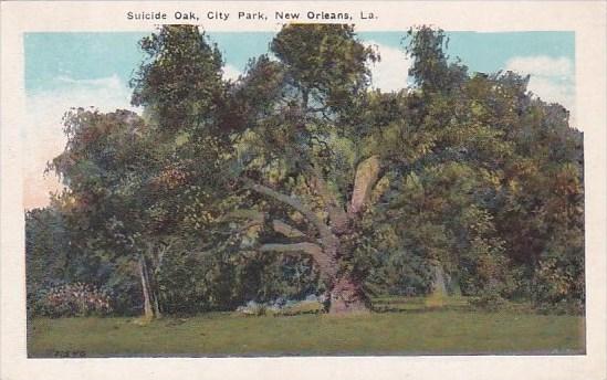 Suicide Oak City Park New Orleans Louisiana Trees