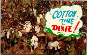 Postcard US South Cotton Time in Dixie!
