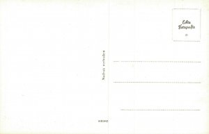 Republic P-47 Thunderbolt Airplane RPPC 06.82