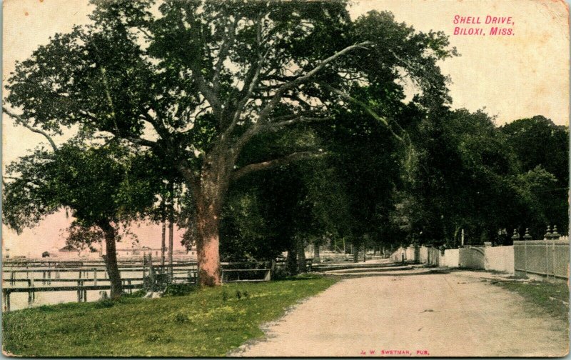 Carte Postale Vintage Tôt 1900s Coque Lecteur, Biloxi Mississippi Rue Vue