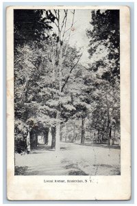 Amsterdam New York NY Postcard Locust Avenue Trees Scenic View 1911 Vintage