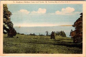 Postcard WATER SCENE St. Andrews New Brunswick NB AK4604