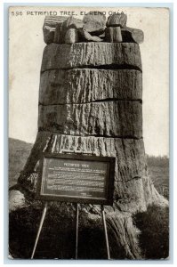 1917 Petrified Tree Scene Found March 14, 1941 El Reno Oklahoma OK Postcard