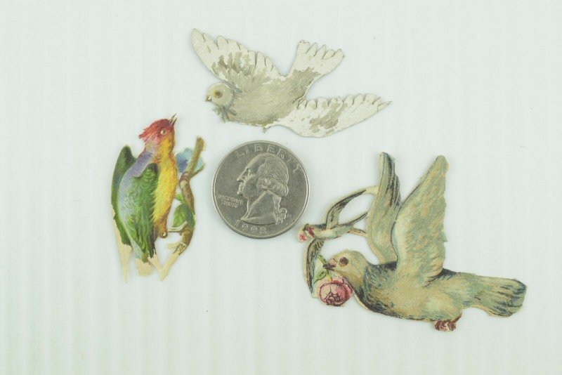 1880's Lovely Die Cut Victorian Colorful Birds Lot of 12 PD238