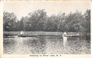 Silver Lake New York Canoeing Scenic View Vintage Postcard AA50781