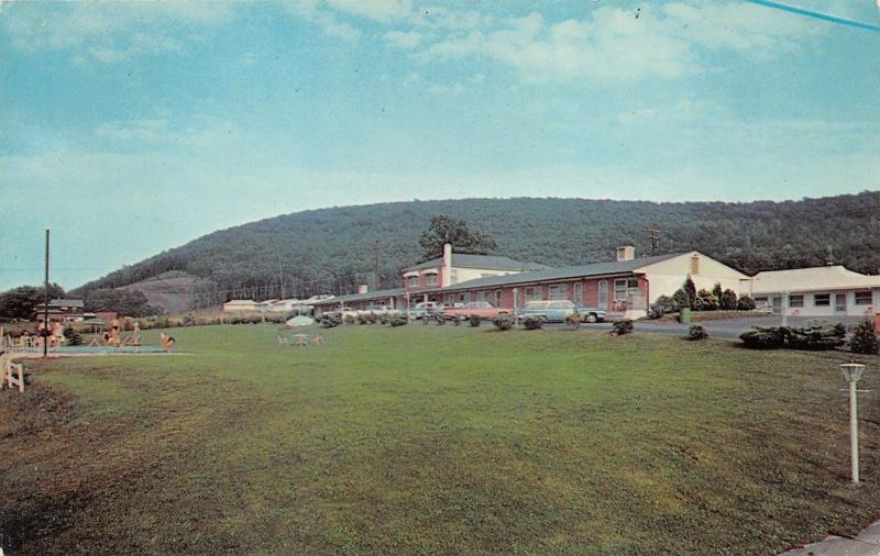 Binghamton New York~Parkway Motel~Swimming Pool~Classic Cars Parked~1950s Pc