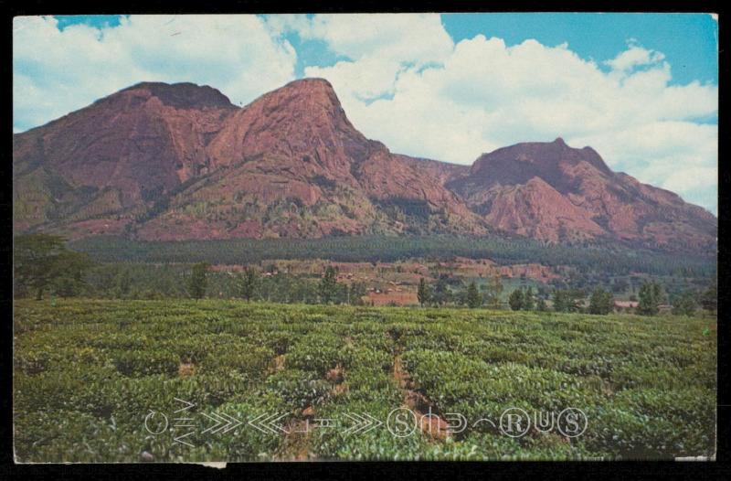 Mlanje Mountain and Tea State