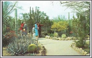 Arizona Desert Botanical Garden - [AZ-038]