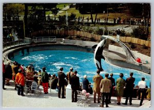 Skana, Killer Whale, Vancouver Public Aquarium, British Columbia, 1973 Postcard