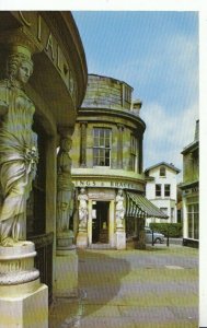 Gloucestershire Postcard - Montpellier Walk - Cheltenham - Ref 10415A