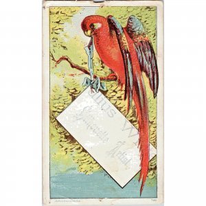 Ulius White - Silhouette Artist - Antique Victorian Trade Card - Tropical Bird