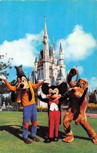 Walt Disney World, Mickey Mouse, Goofy and Pluto Fantasyland