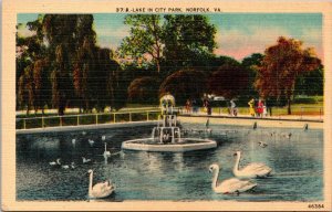 Virginia Norfolk White Swans Ob Lake In City Park