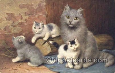 Artist Sperlich, Cat Cats, Old Vintage Antique Postcard Post Card  