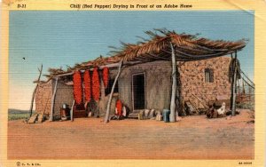 Chili red pepper staple diets Native American Mexican versatile Postcard