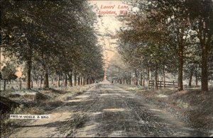 Appleton Wisconsin Lovers Lane Tree Lined View c1900-20s Vintage Postcard