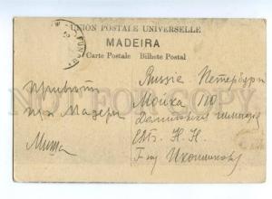 155637 PORTUGAL MADEIRA Bananeira Vintage postcard