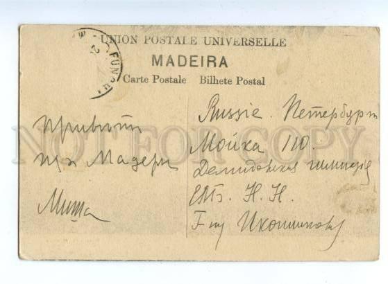 155637 PORTUGAL MADEIRA Bananeira Vintage postcard