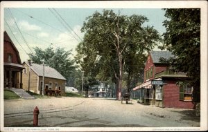 York ME Street in Village c1910 Detroit Publishing Postcard