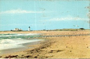 Massachusetts Cape Cod National Seashore Race Point Lighthouse