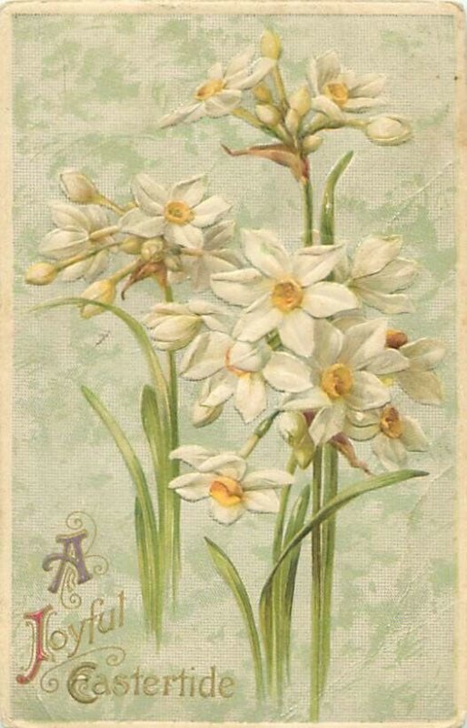Embossed Easter Postcard White Narcissus Flowers A Joyful Eastertide WInsch 1911