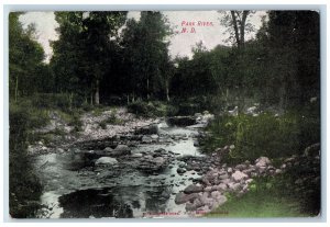 Park River North Dakota ND Postcard Scenic View Of Trees c1905's Handcolored