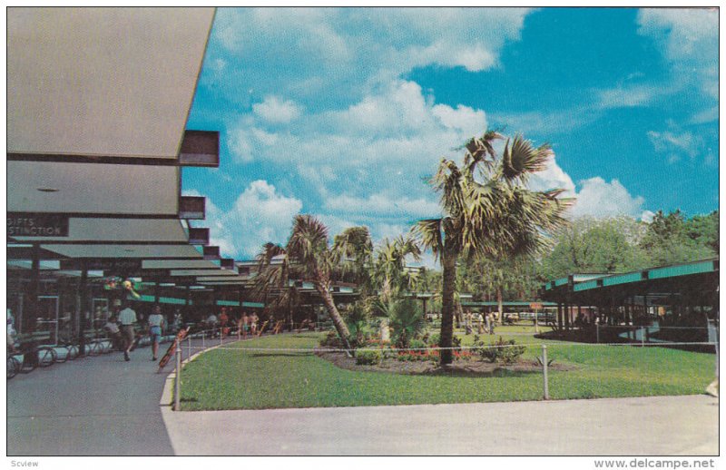 Glass Bottom Boats Gift Shop, SILVER SPRINGS, Florida, 40-60's