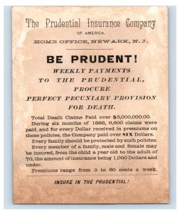 1880s Prudential Insurance Co. Lovely Young Woman In Veil F177