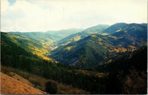 Scene Red River Pass New Mexico NM Mountains VTG Postcard Petley UNP Unused 